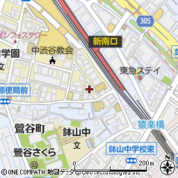 東京都渋谷区桜丘町5-2周辺の地図