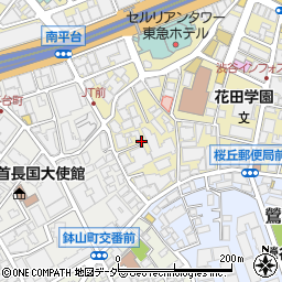 東京都渋谷区桜丘町29周辺の地図