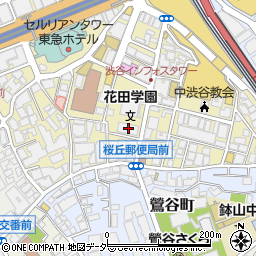 東京都渋谷区桜丘町20-4周辺の地図
