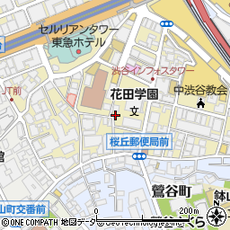 東京都渋谷区桜丘町20-11周辺の地図