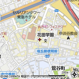 東京都渋谷区桜丘町20-12周辺の地図