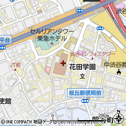 東京都渋谷区桜丘町23周辺の地図