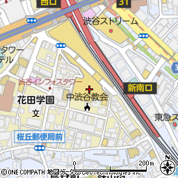 東京都渋谷区桜丘町3-3周辺の地図