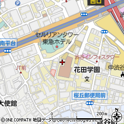 東京都渋谷区桜丘町23-17周辺の地図
