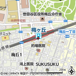 スターバックスコーヒー梅ヶ丘駅店周辺の地図
