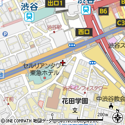 東京都渋谷区桜丘町25周辺の地図