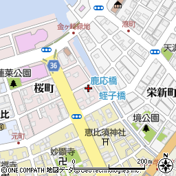 福井県敦賀市桜町4-20周辺の地図