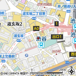 宝島２４　渋谷本店周辺の地図