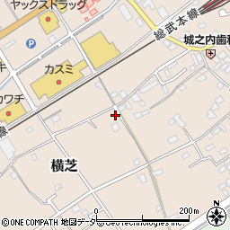 千葉県山武郡横芝光町横芝2046-16周辺の地図