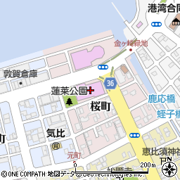 福井県敦賀市桜町7-1周辺の地図