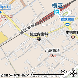 千葉県山武郡横芝光町横芝1553周辺の地図