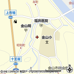 岐阜県下呂市金山町金山2219周辺の地図