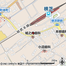 千葉県山武郡横芝光町横芝1321周辺の地図