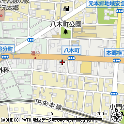 東京都八王子市八木町3-19周辺の地図