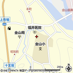 岐阜県下呂市金山町金山2146周辺の地図