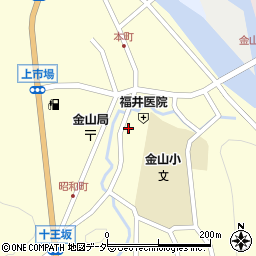 岐阜県下呂市金山町金山2141周辺の地図