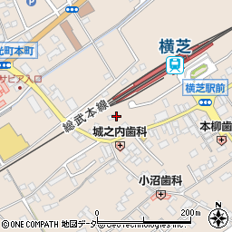 千葉県山武郡横芝光町横芝1323周辺の地図