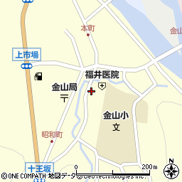 岐阜県下呂市金山町金山2139周辺の地図