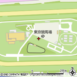東京競馬場周辺の地図