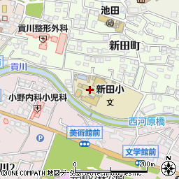 甲府市立新田小学校周辺の地図