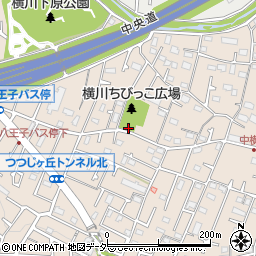 東京都八王子市横川町794周辺の地図