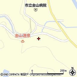 岐阜県下呂市金山町金山1548周辺の地図