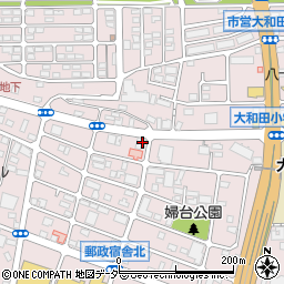 ノムラ薬局　大和田5丁目店周辺の地図