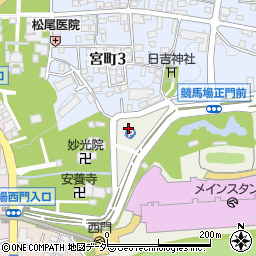 東京都府中市日吉町5周辺の地図