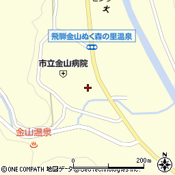 岐阜県下呂市金山町金山969周辺の地図