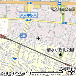 東京都府中市若松町1丁目11-12周辺の地図