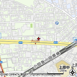 東京都渋谷区大山町36周辺の地図