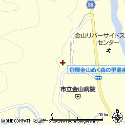 岐阜県下呂市金山町金山1007周辺の地図