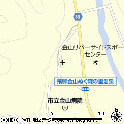 岐阜県下呂市金山町金山999-1周辺の地図