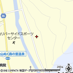 岐阜県下呂市金山町金山852周辺の地図