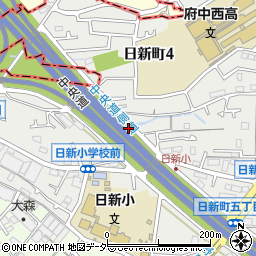 東京都府中市日新町5丁目19周辺の地図