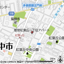 東京都府中市紅葉丘周辺の地図