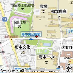 東京都府中市寿町周辺の地図