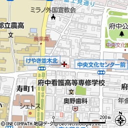 アフラック募集代理店田中照江周辺の地図