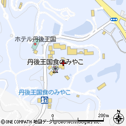 京都府京丹後市弥栄町鳥取123周辺の地図