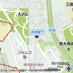 大沢坂下周辺の地図