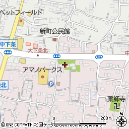 有限会社三井理八商店敷島営業所周辺の地図
