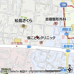 山梨県甲斐市中下条1895周辺の地図