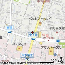 山梨県甲斐市中下条938周辺の地図