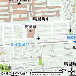 東京都府中市晴見町周辺の地図