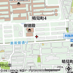東京都府中市晴見町周辺の地図