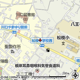 東京都八王子市川口町3815周辺の地図