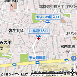 東京都中野区弥生町3丁目27-13周辺の地図