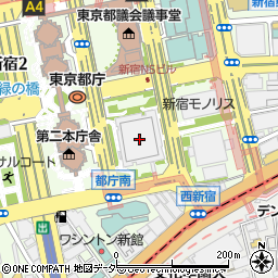 〒163-0830 東京都新宿区西新宿 新宿ＮＳビル（３０階）の地図