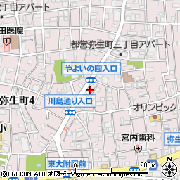 東京都中野区弥生町3丁目29-2周辺の地図