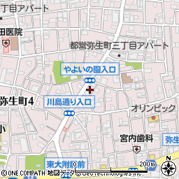 東京都中野区弥生町3丁目29周辺の地図